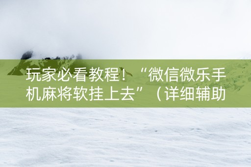 玩家必看教程！“微信微乐手机麻将软挂上去”（详细辅助教程）-哔哩哔哩
