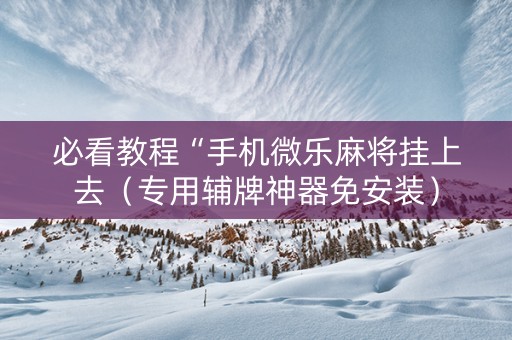 必看教程“手机微乐麻将挂上去（专用辅牌神器免安装）