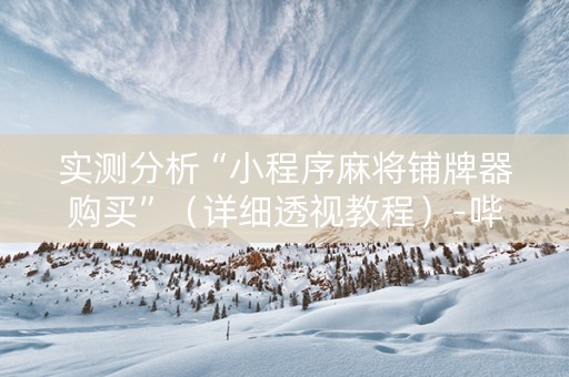 实测分析“小程序麻将铺牌器购买”（详细透视教程）-哔哩哔哩