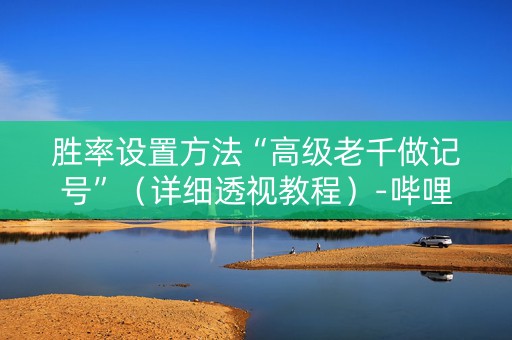 胜率设置方法“高级老千做记号”（详细透视教程）-哔哩哔哩