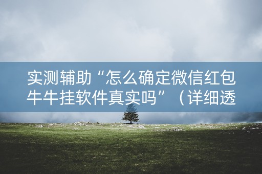 实测辅助“怎么确定微信红包牛牛挂软件真实吗”（详细透视教程）-哔哩哔哩