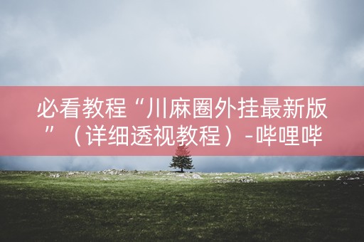 必看教程“川麻圈外挂最新版”（详细透视教程）-哔哩哔哩