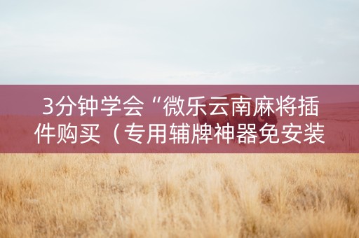 3分钟学会“微乐云南麻将插件购买（专用辅牌神器免安装）