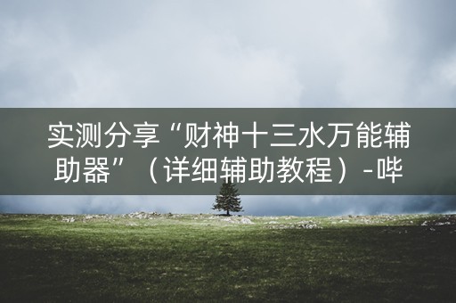 实测分享“财神十三水万能辅助器”（详细辅助教程）-哔哩哔哩