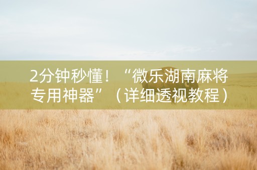 2分钟秒懂！“微乐湖南麻将专用神器”（详细透视教程）-哔哩哔哩