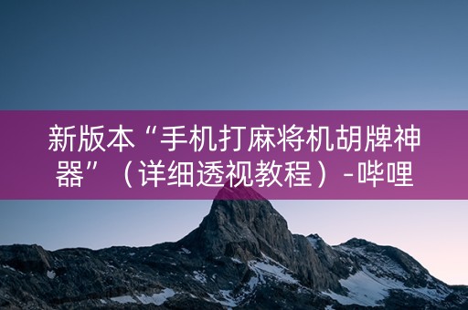 新版本“手机打麻将机胡牌神器”（详细透视教程）-哔哩哔哩