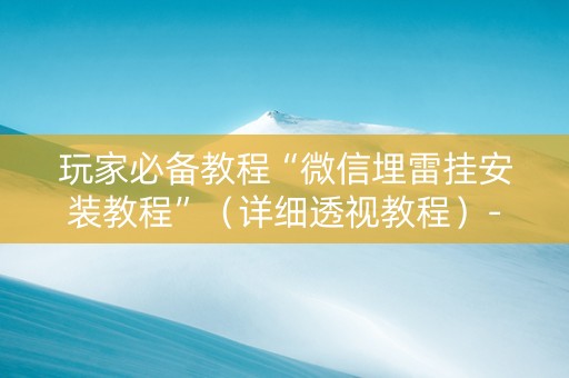 玩家必备教程“微信埋雷挂安装教程”（详细透视教程）-哔哩哔哩