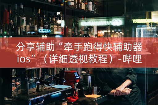 分享辅助“牵手跑得快辅助器ios”（详细透视教程）-哔哩哔哩