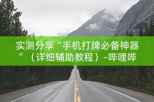 实测分享“手机打牌必备神器”（详细辅助教程）-哔哩哔哩