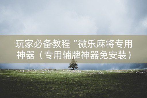 玩家必备教程“微乐麻将专用神器（专用辅牌神器免安装）