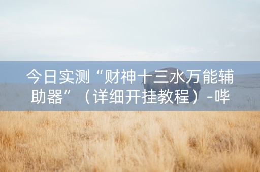 今日实测“财神十三水万能辅助器”（详细开挂教程）-哔哩哔哩