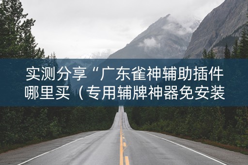 实测分享“广东雀神辅助插件哪里买（专用辅牌神器免安装）