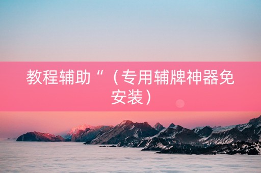 教程辅助“（专用辅牌神器免安装）