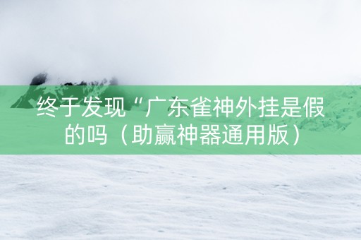 终于发现“广东雀神外挂是假的吗（助赢神器通用版）