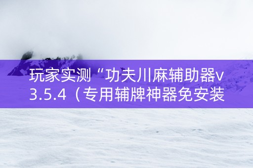 玩家实测“功夫川麻辅助器v3.5.4（专用辅牌神器免安装）