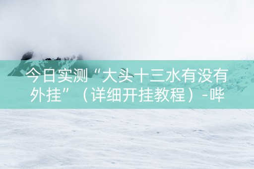 今日实测“大头十三水有没有外挂”（详细开挂教程）-哔哩哔哩