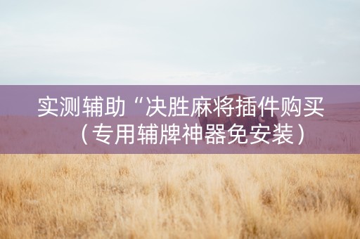 实测辅助“决胜麻将插件购买（专用辅牌神器免安装）