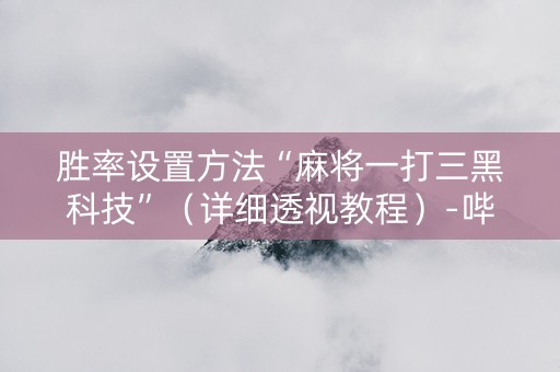 胜率设置方法“麻将一打三黑科技”（详细透视教程）-哔哩哔哩