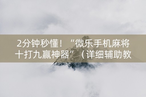 2分钟秒懂！“微乐手机麻将十打九赢神器”（详细辅助教程）-哔哩哔哩