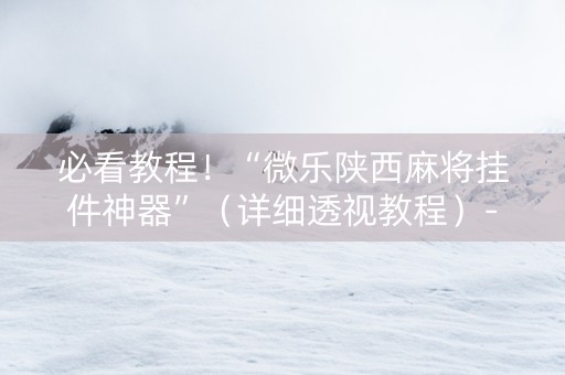 必看教程！“微乐陕西麻将挂件神器”（详细透视教程）-哔哩哔哩