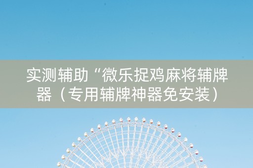 实测辅助“微乐捉鸡麻将辅牌器（专用辅牌神器免安装）