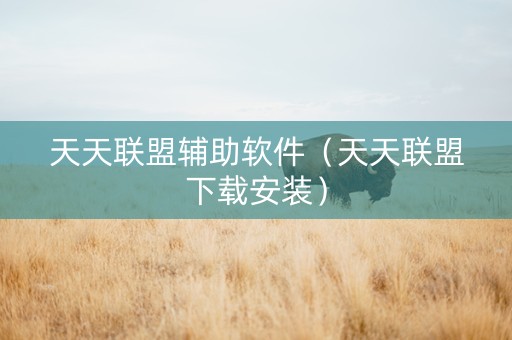 天天联盟辅助软件（天天联盟下载安装）