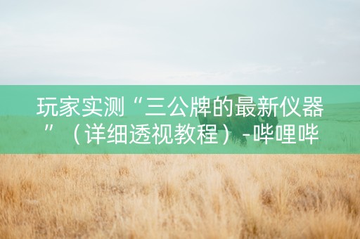 玩家实测“三公牌的最新仪器”（详细透视教程）-哔哩哔哩