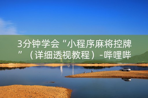 3分钟学会“小程序麻将控牌”（详细透视教程）-哔哩哔哩