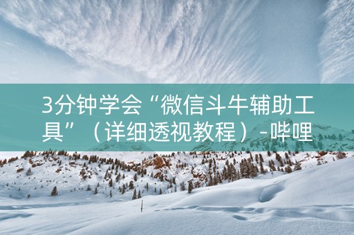 3分钟学会“微信斗牛辅助工具”（详细透视教程）-哔哩哔哩