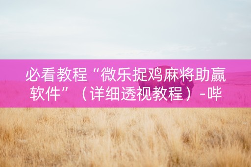 必看教程“微乐捉鸡麻将助赢软件”（详细透视教程）-哔哩哔哩