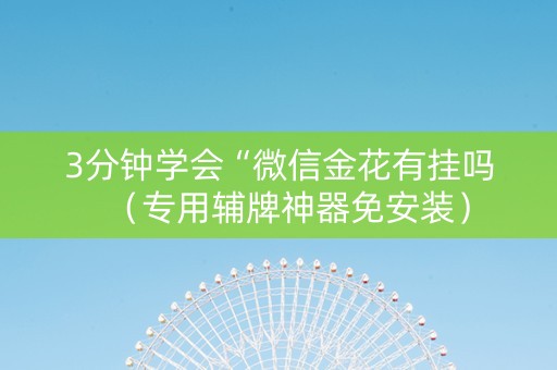 3分钟学会“微信金花有挂吗（专用辅牌神器免安装）