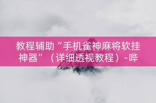 教程辅助“手机雀神麻将软挂神器”（详细透视教程）-哔哩哔哩