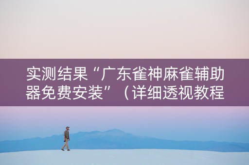 实测结果“广东雀神麻雀辅助器免费安装”（详细透视教程）-哔哩哔哩
