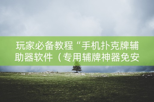 玩家必备教程“手机扑克牌辅助器软件（专用辅牌神器免安装）