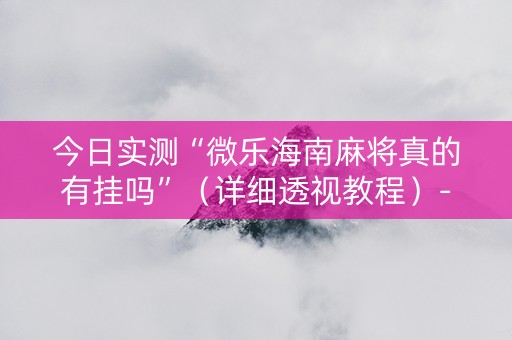 今日实测“微乐海南麻将真的有挂吗”（详细透视教程）-哔哩哔哩