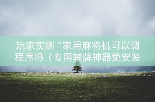 玩家实测“家用麻将机可以调程序吗（专用辅牌神器免安装）