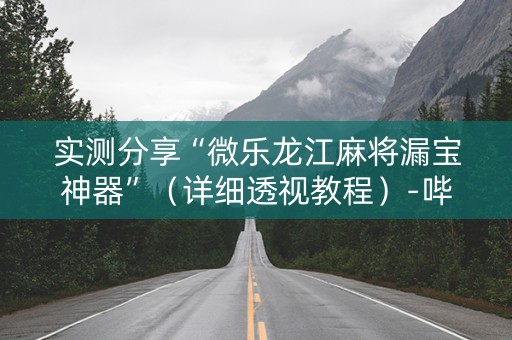实测分享“微乐龙江麻将漏宝神器”（详细透视教程）-哔哩哔哩