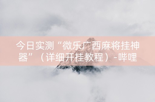 今日实测“微乐广西麻将挂神器”（详细开挂教程）-哔哩哔哩