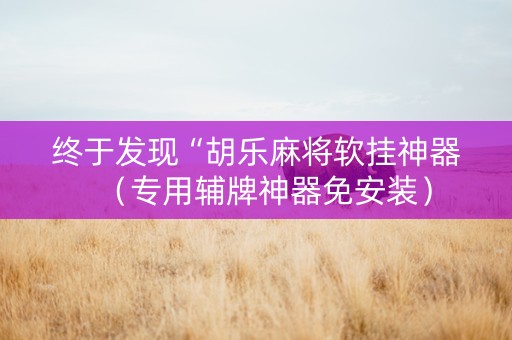 终于发现“胡乐麻将软挂神器（专用辅牌神器免安装）