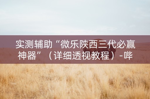 实测辅助“微乐陕西三代必赢神器”（详细透视教程）-哔哩哔哩