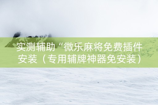 实测辅助“微乐麻将免费插件安装（专用辅牌神器免安装）