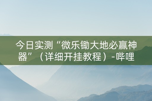 今日实测“微乐锄大地必赢神器”（详细开挂教程）-哔哩哔哩