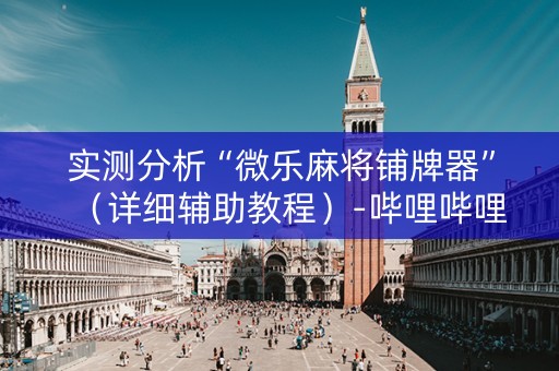 实测分析“微乐麻将铺牌器”（详细辅助教程）-哔哩哔哩