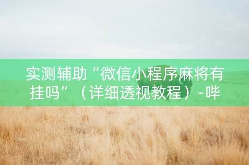 实测辅助“微信小程序麻将有挂吗”（详细透视教程）-哔哩哔哩