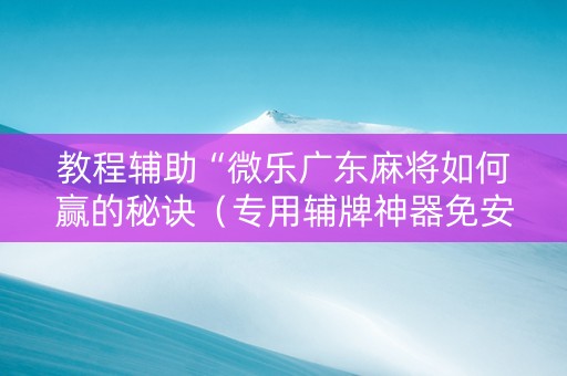 教程辅助“微乐广东麻将如何赢的秘诀（专用辅牌神器免安装）