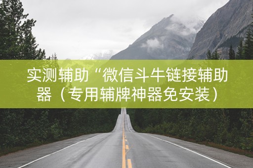 实测辅助“微信斗牛链接辅助器（专用辅牌神器免安装）