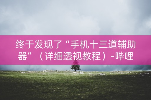 终于发现了“手机十三道辅助器”（详细透视教程）-哔哩哔哩