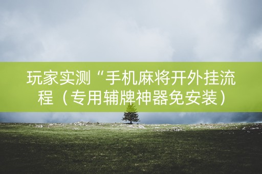 玩家实测“手机麻将开外挂流程（专用辅牌神器免安装）