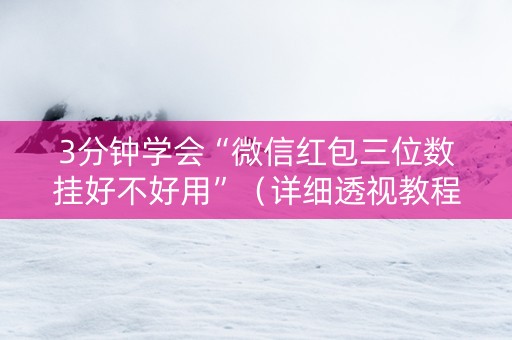 3分钟学会“微信红包三位数挂好不好用”（详细透视教程）-哔哩哔哩