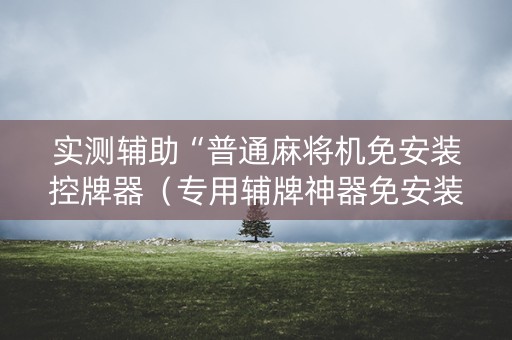 实测辅助“普通麻将机免安装控牌器（专用辅牌神器免安装）